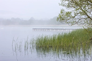 Early morning mist shrouds Llangorse Lake in the Brecon Beacons National Park, Powys, Wales Early morning mist shrouds Llangorse Lake in the Brecon Beacons National Park, Powys, Wales