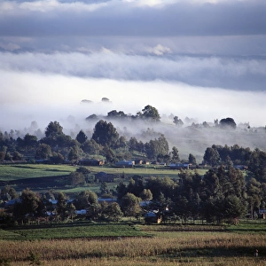 Early morning mist in Tanzanias Southern Highlands Early morning mist in Tanzanias Southern Highlands