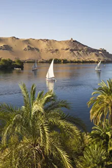Egypt, Upper Egypt, Aswan, Elephantine Island, View of river Nile and Tombs of the Egypt, Upper Egypt, Aswan, Elephantine Island, View of river Nile and Tombs of the