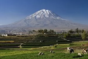 Images Dated 16th July 2004: El Misti Volcano and Arequipa town