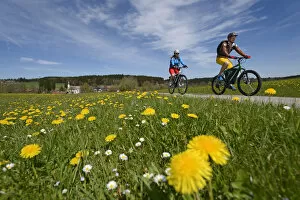 Cycling Gallery: Electric cyclists at Ischl, Chiemgau, Upper Bavaria, Bavaria, Germany, Europe, MR
