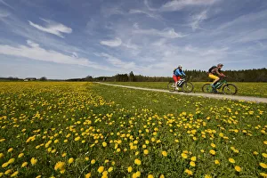 Electric cyclists at Wiesmuhl, Chiemgau, Upper Bavaria, Bavaria, Germany, Europe, MR Electric cyclists at Wiesmuhl, Chiemgau, Upper Bavaria, Bavaria, Germany, Europe, MR