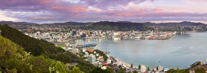 Elevated view over central Wellington illuminated at sunrise, Wellington, North Island Elevated view over central Wellington illuminated at sunrise, Wellington, North Island