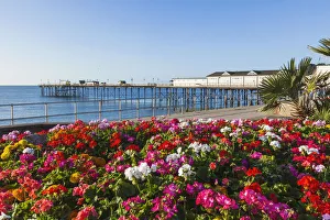 England, Devon, Teignmouth, Teignmouth Pier and Beach England, Devon, Teignmouth, Teignmouth Pier and Beach