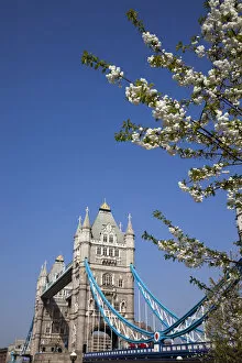 Images Dated 8th July 2010: England, London, Tower Bridge and River Thames