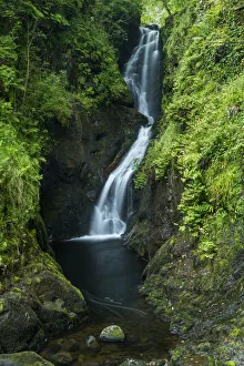 Ess-na-Larach Waterfall, Glenariff Forest Park, County Antrim, Northern Ireland Ess-na-Larach Waterfall, Glenariff Forest Park, County Antrim, Northern Ireland