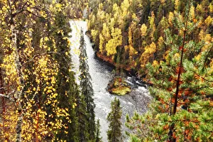 Europe, Finland, Lapland, Kuusamo, Oulanka National Park, Kalliosaari island in the Europe, Finland, Lapland, Kuusamo, Oulanka National Park, Kalliosaari island in the