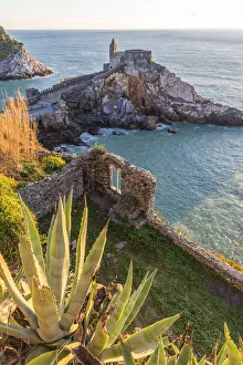 Mexico Heritage Sites Gallery: Agave Landscape and Ancient Industrial Facilities of Tequila Collection