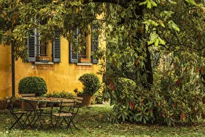 Europe, Italy, Piedmont. A romantic garden Europe, Italy, Piedmont. A romantic garden