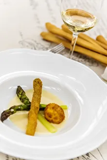 Europe, Italy, Piedmont. a starter with asparagus Europe, Italy, Piedmont. a starter with asparagus
