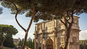 Europe, Italy, Rome. The arch of Constantine and the famous roman pine trees
