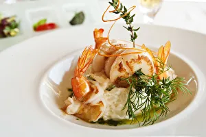 Europe, Portugal, Algarve, praia de Albandeira, Carvoeiro, Lagoa, prawns/shrimps Europe, Portugal, Algarve, praia de Albandeira, Carvoeiro, Lagoa, prawns/shrimps