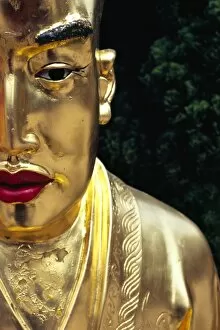 Sha Tin Collection: Face of a golden Buddha statue - one among many at