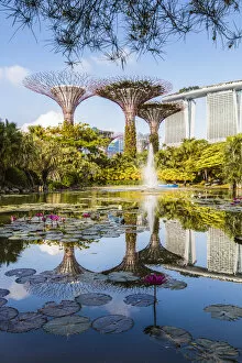 Gardens By The Bay Gallery: The famous Supertree grove at Gardens by the Bay, Singapore