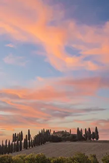 Farmhouse and cypress trees at sunset, Tuscany, Italy Farmhouse and cypress trees at sunset, Tuscany, Italy
