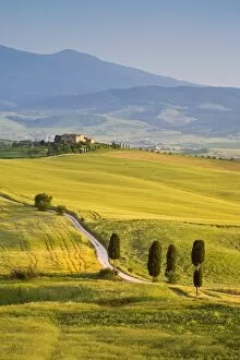 Cyprus Gallery: Farmhouse, Val d Orcia, Tuscany, Italy