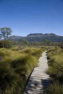 Images Dated 4th February 2007: The final stretch of the Overland track to Narcissus Hut