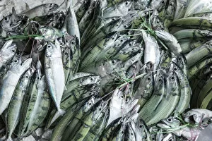 Images Dated 30th September 2013: Fish displayed in the market in Victoria, Mahe, Seychelles