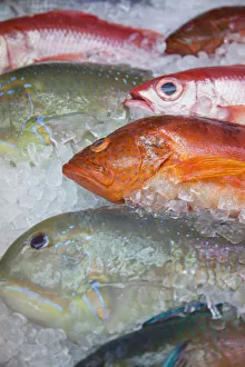 Fish at Makishi indoor market, Naha, Okinawa, Japan Fish at Makishi indoor market, Naha, Okinawa, Japan