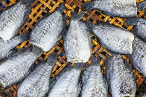 Fish for sale at Mueang Mai Market, Chiang Mai, Northern Thailand, Thailand