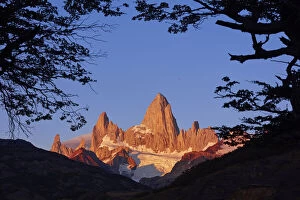 Cerro Gallery: The Fitz Roy Mountain framed among the surrounding landscape at sunrise