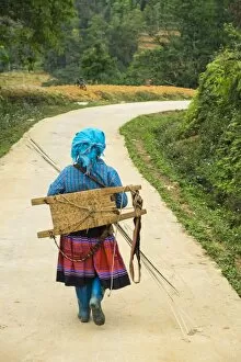 Images Dated 4th April 2014: Flower Hmong woman walking along road, nr Bac Ha, nr Sapa, N. Vietnam
