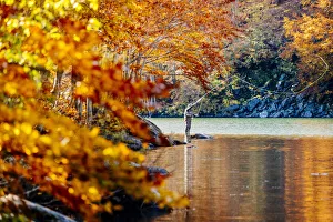 Fly fishing by an autumn forest in Lago Santo Modenese, Modena, Emilia Romagna, Italy Fly fishing by an autumn forest in Lago Santo Modenese, Modena, Emilia Romagna, Italy