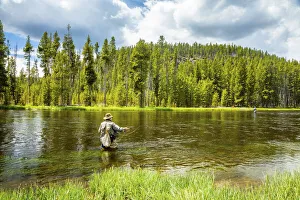 Fly fishing, Yellowstone National Park, USA Fly fishing, Yellowstone National Park, USA