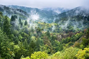 Fog over the Gorge de la Montane, Gimel-les-Cascades, CorrAA¨ze dAA partement, Limousin Fog over the Gorge de la Montane, Gimel-les-Cascades, CorrAA¨ze dAA partement, Limousin