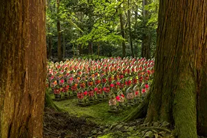 Forest of a 1000 Buddhas, Kongorin-ji Temple, Shiga Prefecture, Japan Forest of a 1000 Buddhas, Kongorin-ji Temple, Shiga Prefecture, Japan
