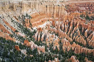 Forest in Bryce canyon surrounded by hoodoos, Bryce Point, Bryce Canyon National Park Forest in Bryce canyon surrounded by hoodoos, Bryce Point, Bryce Canyon National Park