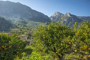 Fornalutx, Serra de Tramuntana, Mallorca, Balearic Islands, Spain Fornalutx, Serra de Tramuntana, Mallorca, Balearic Islands, Spain