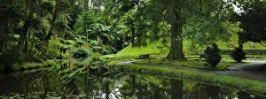 Founded in the 18th century, the Terra Nostra garden at Furnas is one of the most Founded in the 18th century, the Terra Nostra garden at Furnas is one of the most