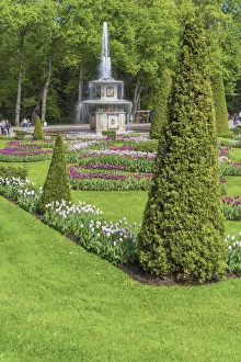Fountain in the park, Peterhof, Saint Petersburg, Russia Fountain in the park, Peterhof, Saint Petersburg, Russia