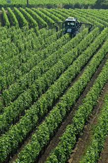 France, Aquitaine, Bordeaux region, St.Emilion, Vine Spraying France, Aquitaine, Bordeaux region, St.Emilion, Vine Spraying
