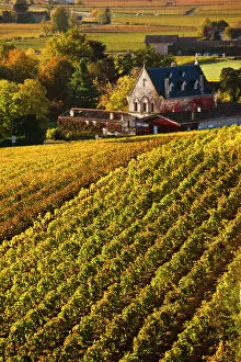 Images Dated 8th August 2011: France, Aquitaine Region, Gironde Department, St-Emilion, wine town, UNESCO-listed