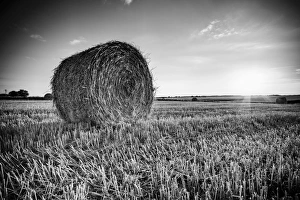France, Centre Region, Indre-et-Loire, Sainte Maure de Touraine, Straw Bale in field France, Centre Region, Indre-et-Loire, Sainte Maure de Touraine, Straw Bale in field