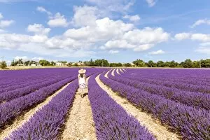 Images Dated 5th July 2014: France, Provence Alps Cote d Azur, Vaucluse, Banon. Woman walking in lavender field in summer