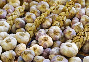France, Provence, Arles, market stall, Garlic France, Provence, Arles, market stall, Garlic