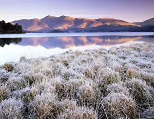 Frosted Grasses & Skiddaw Reflecting in Derwent Water, Lake District National Park Frosted Grasses & Skiddaw Reflecting in Derwent Water, Lake District National Park