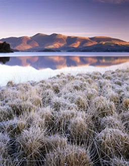 Frosted Grasses & Skiddaw Reflecting in Derwent Water, Lake District National Park Frosted Grasses & Skiddaw Reflecting in Derwent Water, Lake District National Park