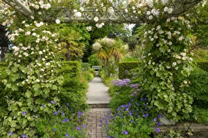 Garden Path, Bodnant Gardens, near Tal-y-Cafn, Conwy, Wales Garden Path, Bodnant Gardens, near Tal-y-Cafn, Conwy, Wales