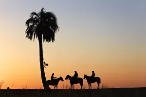 Gauchos on horseback at sunset, Estancia Buena Vista, Esquina, Corrientes, Argentina Gauchos on horseback at sunset, Estancia Buena Vista, Esquina, Corrientes, Argentina