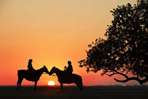 Gauchos on horseback at sunset near a giant rubber tree, Estancia Buena Vista, Esquina, Corrientes, Argentina Gauchos on horseback at sunset near a giant rubber tree, Estancia Buena Vista, Esquina, Corrientes, Argentina