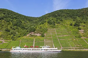 Germany, Rhineland-Palatinate, Moselle, Cruiseboat and Vineyards Germany, Rhineland-Palatinate, Moselle, Cruiseboat and Vineyards