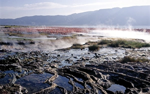 Lake Baringo Gallery: Geysers, hot springs and thousands of lesser flamingos