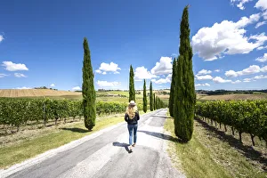 A girl walking under the sun into wineyards landscape near Macerata, Marche region, Italy A girl walking under the sun into wineyards landscape near Macerata, Marche region, Italy