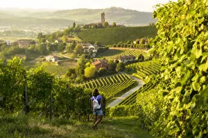 Agricultures Gallery: Girl walking trough the vineyards in Langhe, Barbaresco, Italy