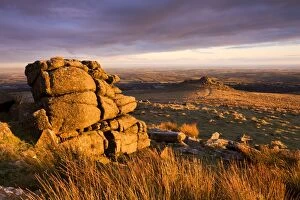 Images Dated 19th December 2009: Golden sunshine glows against the granite outcrops at Belstone Tor, Dartmoor National Park