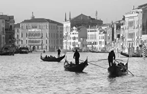 Gondoliers on the Gran Canal, Venice, Veneto region, Italy Gondoliers on the Gran Canal, Venice, Veneto region, Italy